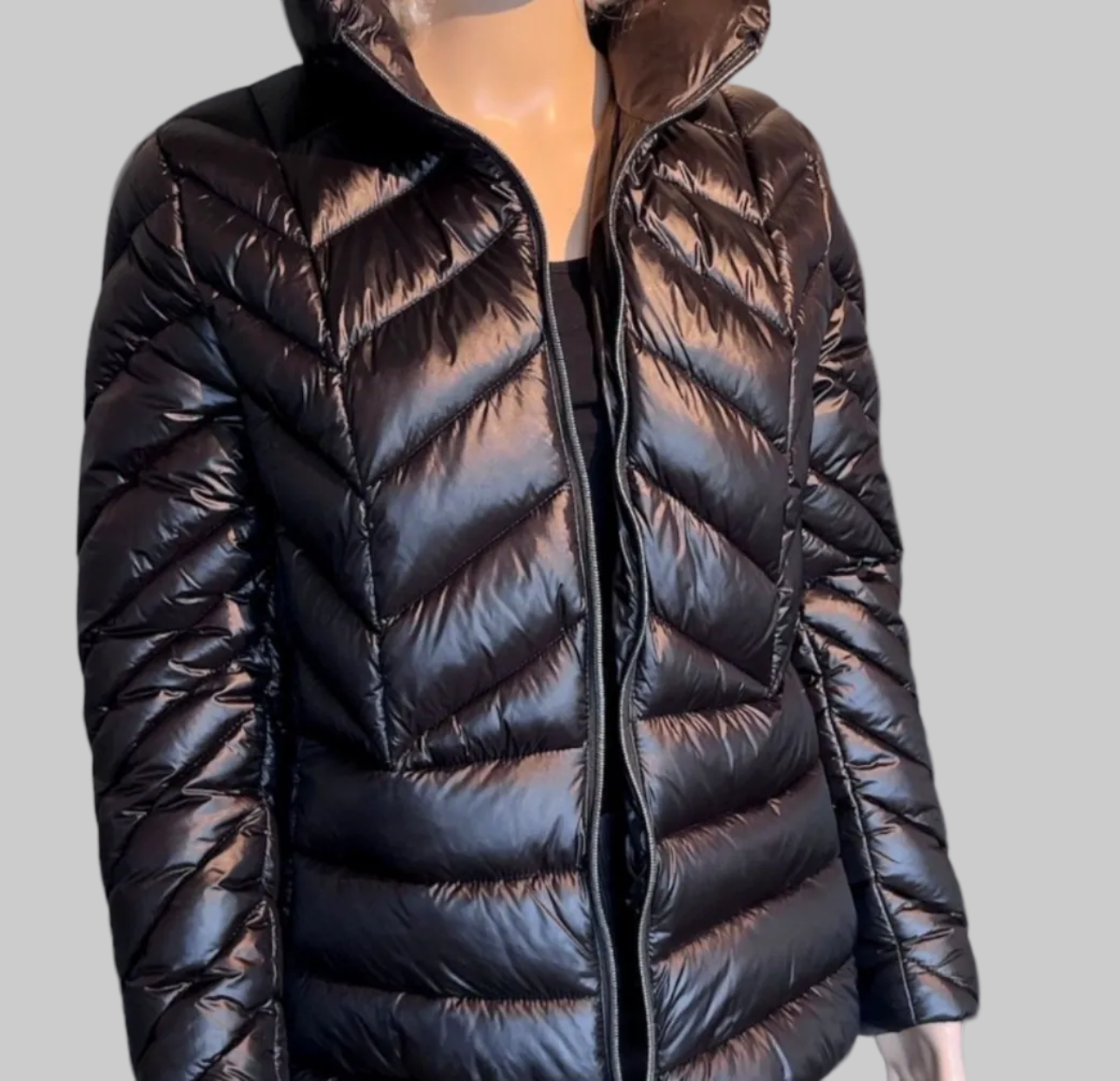 FERRACHE  Veste - neuve - L